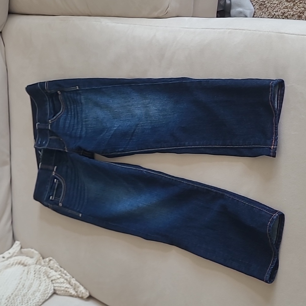 American Eagle Outfitters Artist jeans, size 2, ankle length